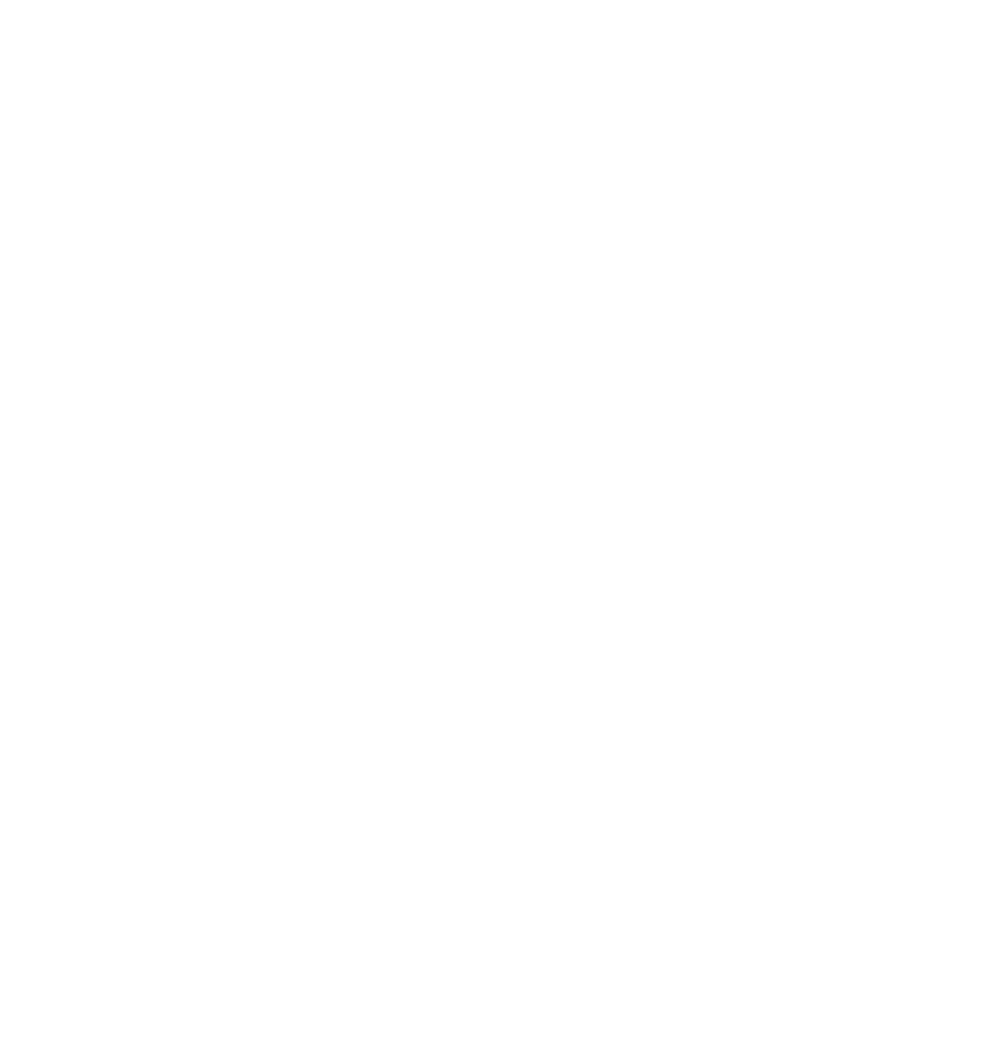 Learn to Fly Logo